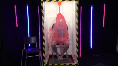 Escape The Tank:14 - Image 4