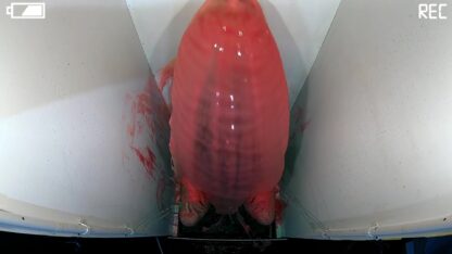 Escape The Tank:14 - Image 6