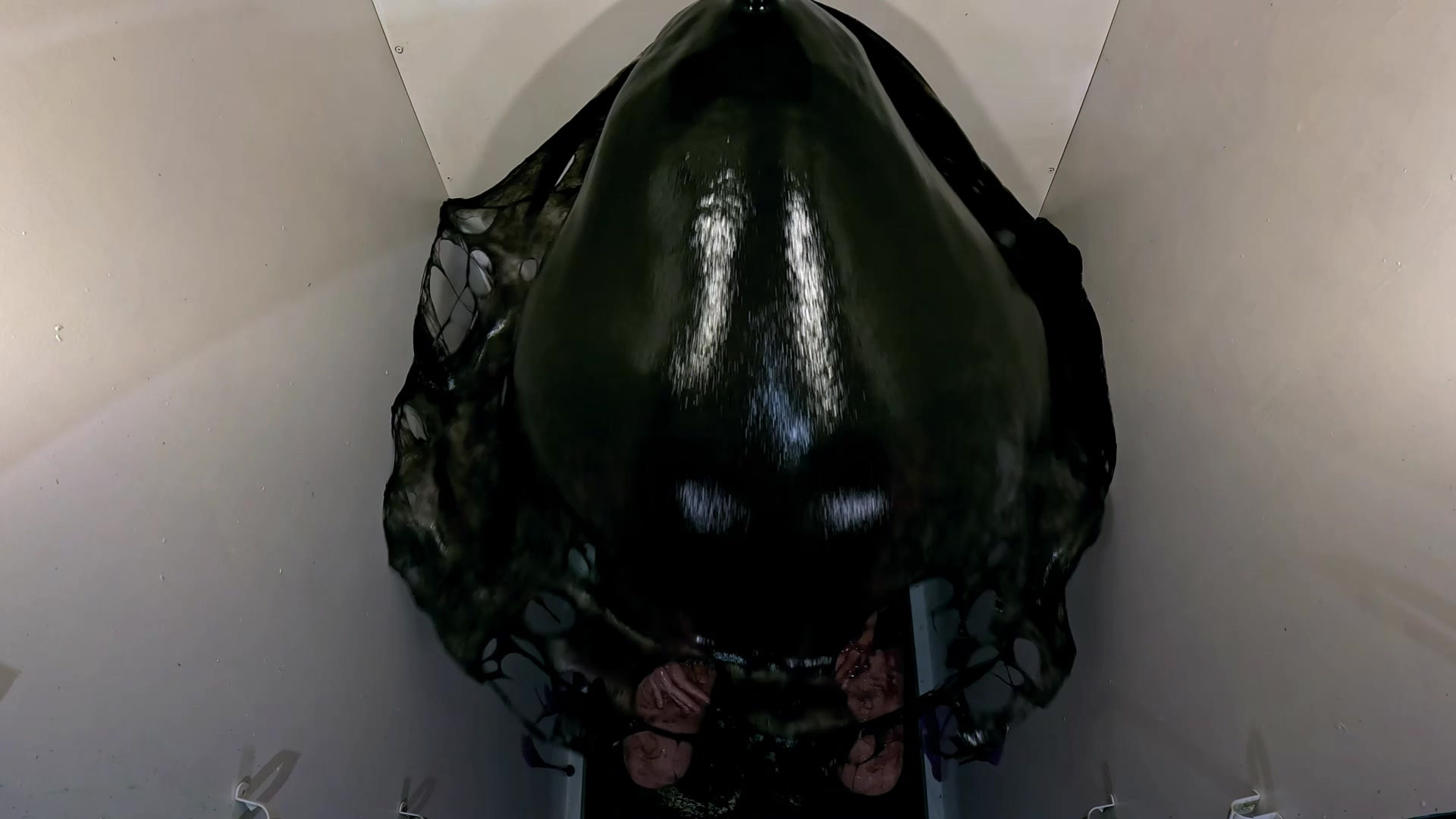 Buzz Off:34 - Image 5